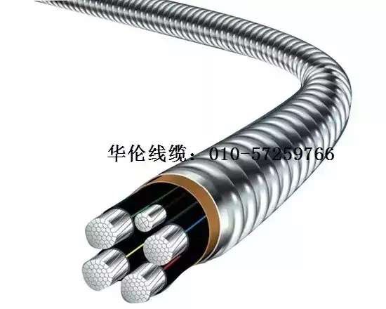 滄州市統計工作規范化建設推進會在華倫公司順利召開！